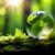 Environmental Initiatives Supporting Long-Term Impact