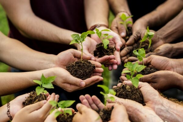 Group of volunteer with sprout for growing
